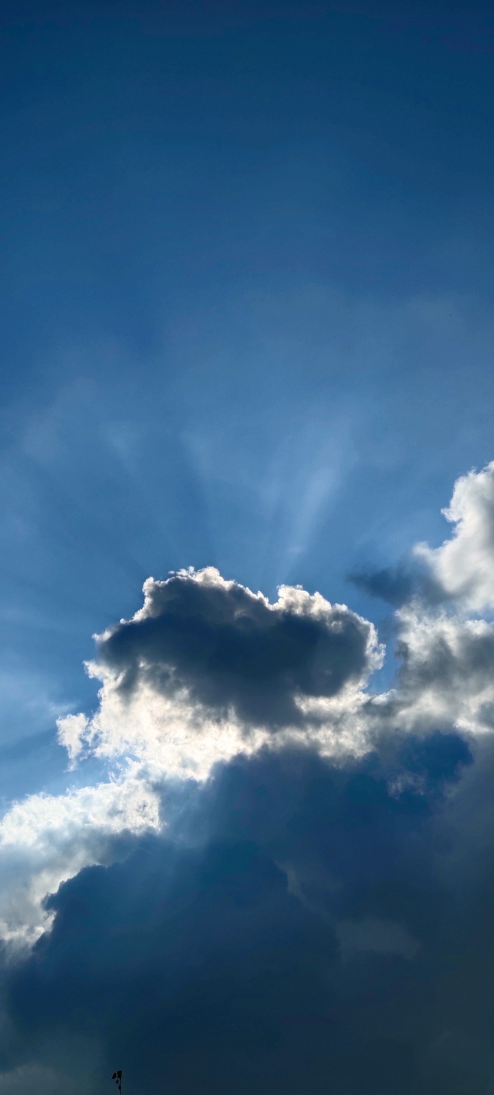 The sky