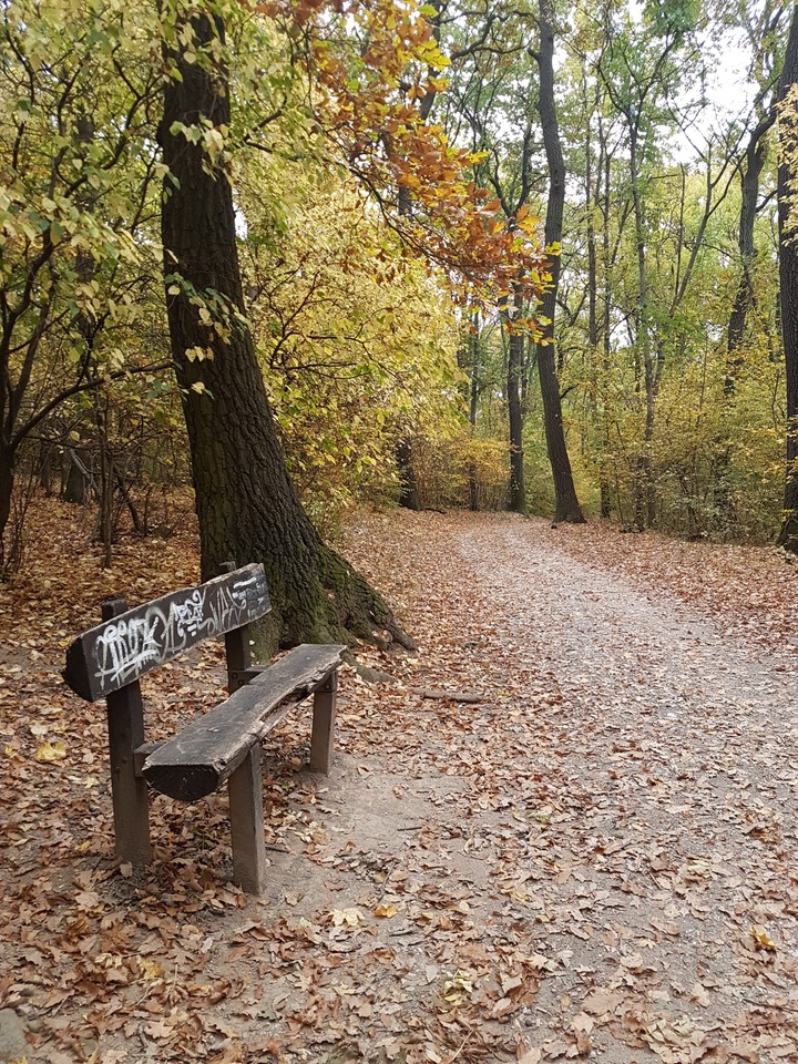 walk time