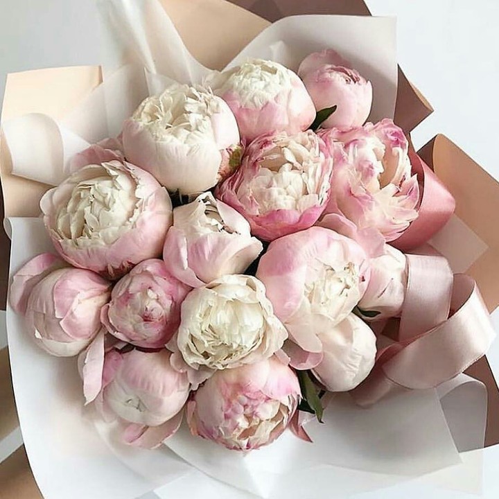 peony