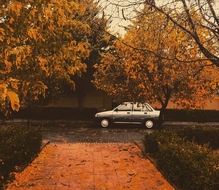 autumn