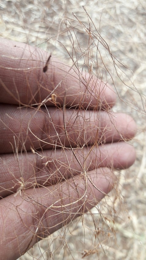 closeup hand