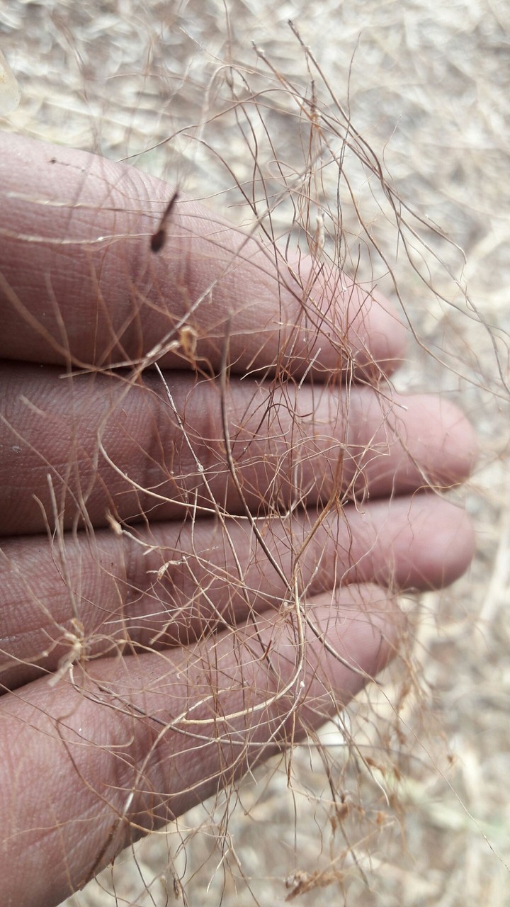 closeup hand