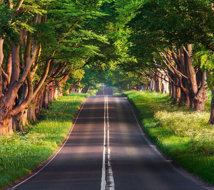 road