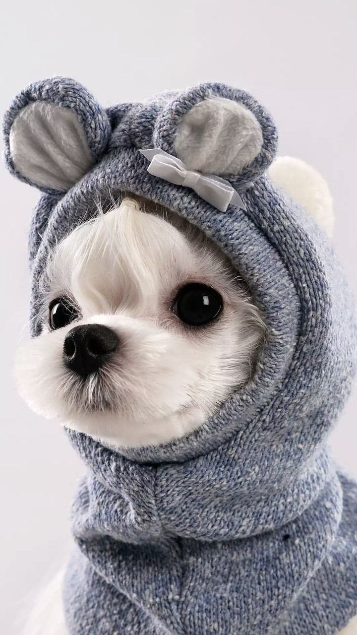Милашка Беки