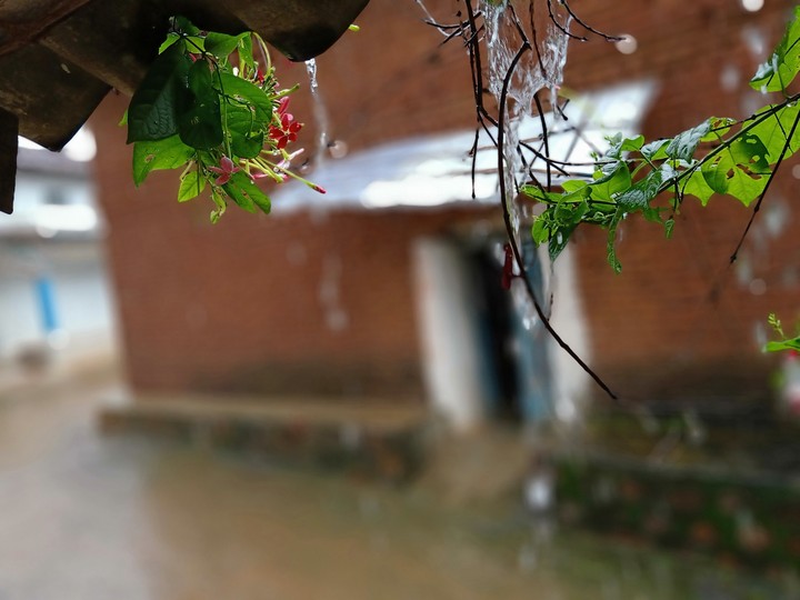 village rain day