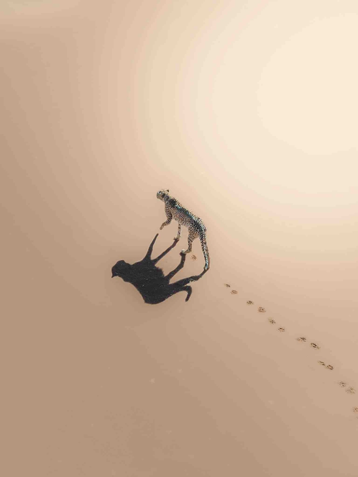 a