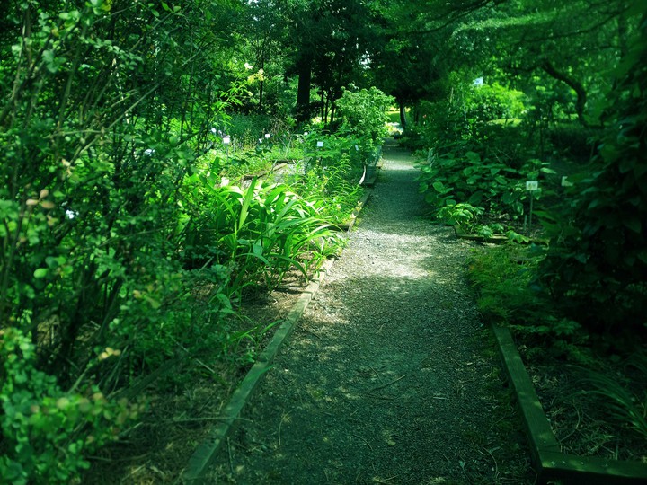 Green Nature