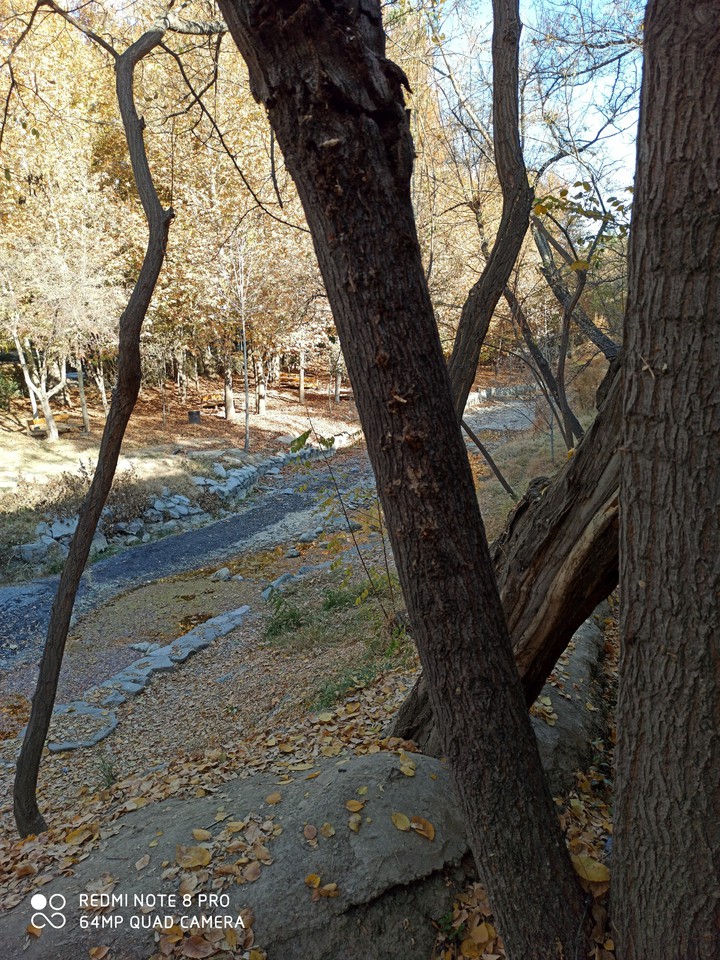 #fall
