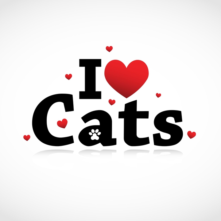 Love Cat
