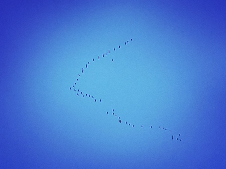 sky