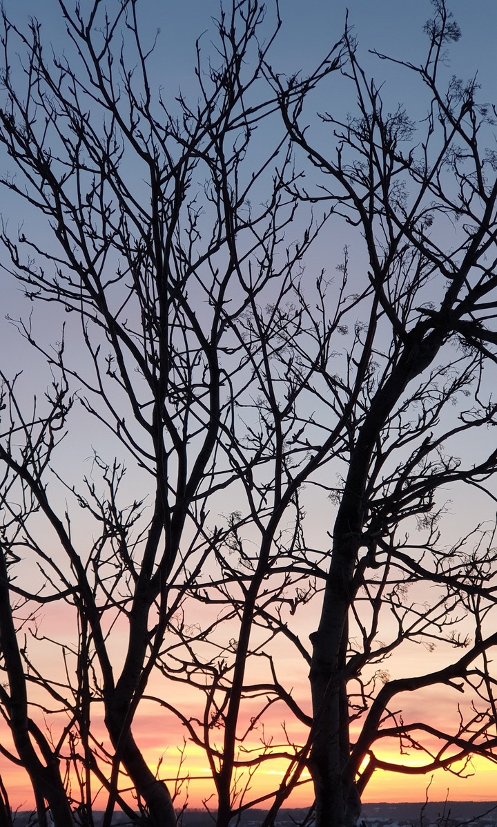 Winter sunset