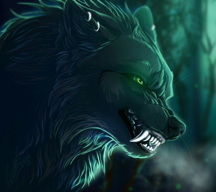 wolf