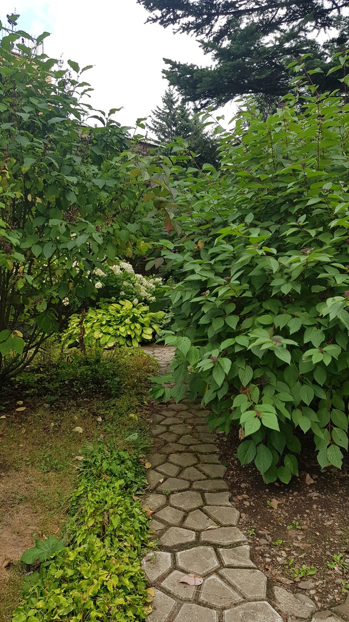 nature