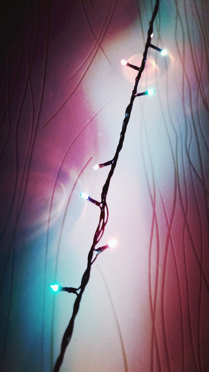 Garland