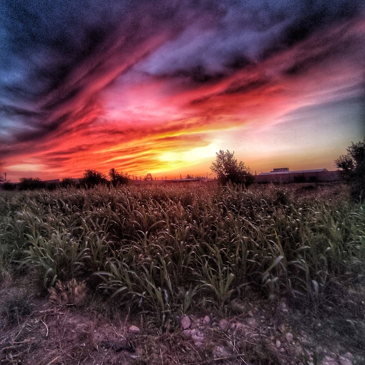 nature