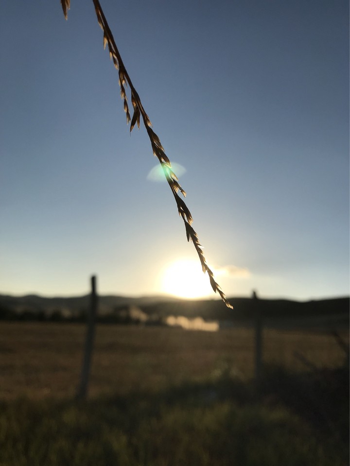 Beauty Of The Sun