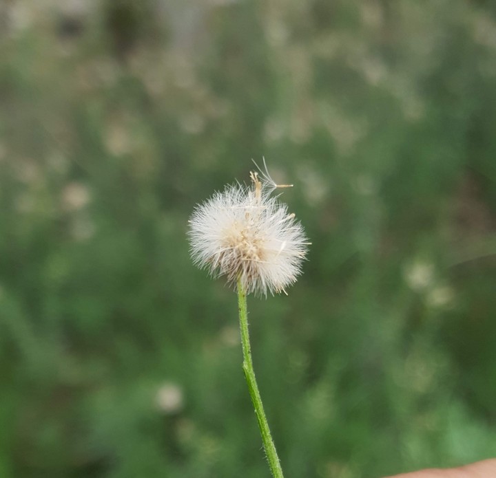 wish..m