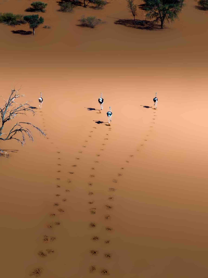 trails