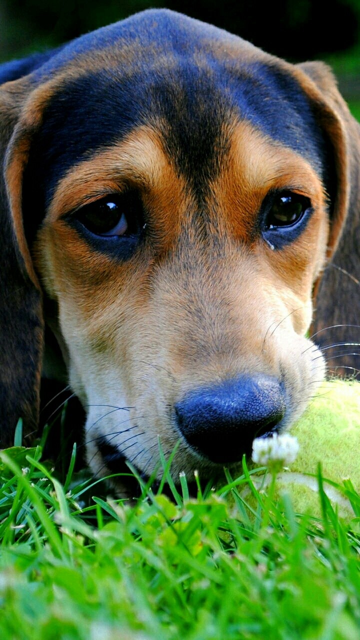 ****❤