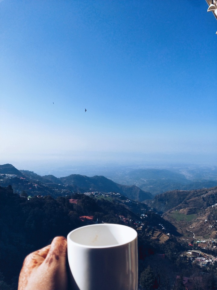 coffee on the hills