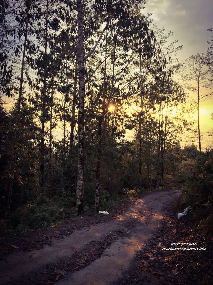 Dusty Trails