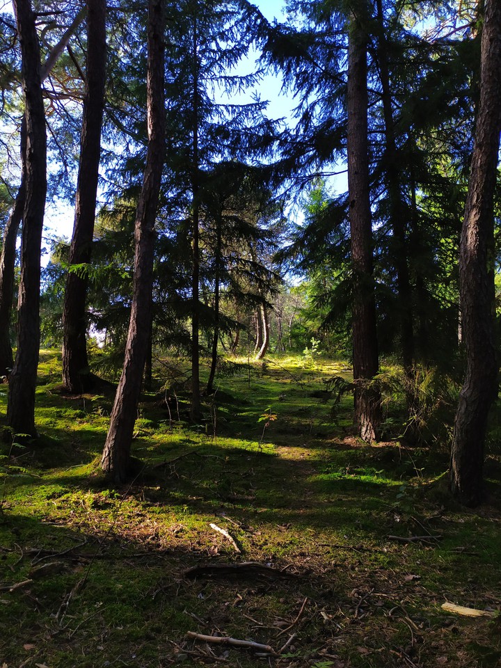 Kaliningrad