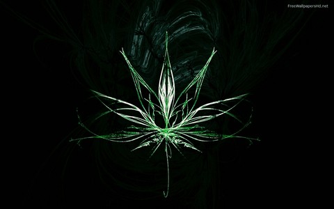 生物, line壁纸
