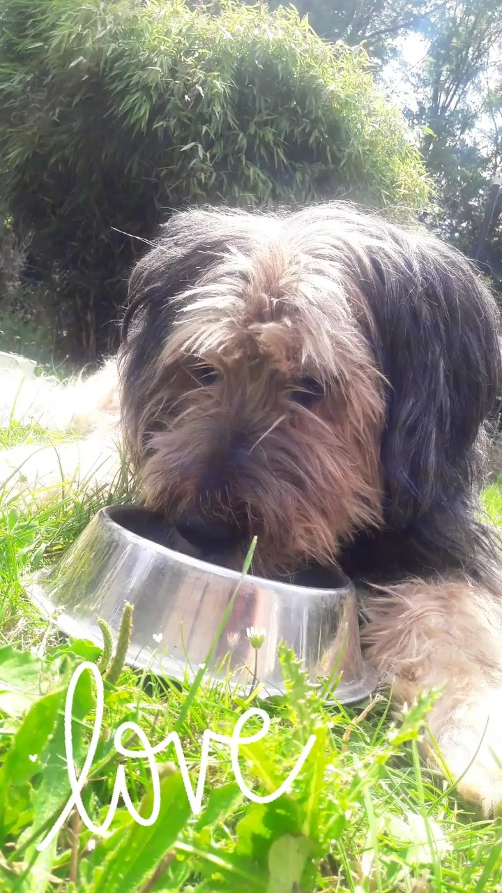 My old Lady...
