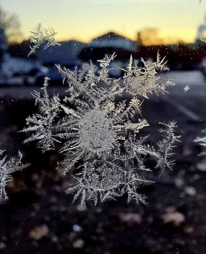 Frost