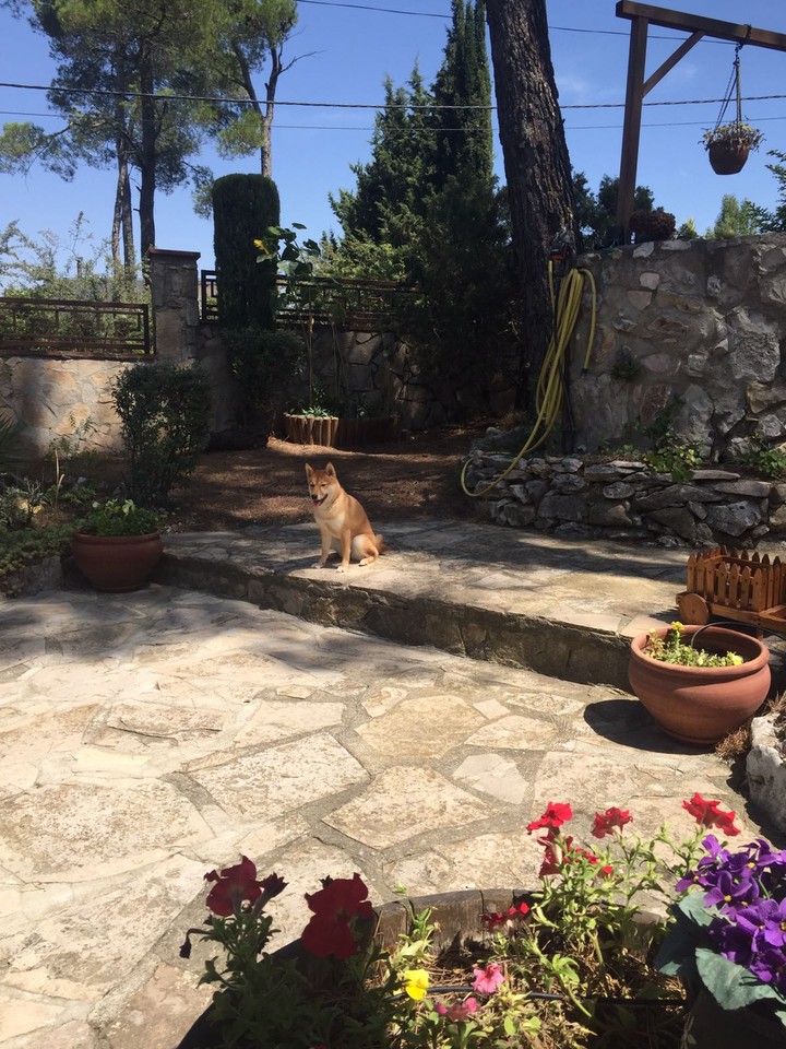 Spanish Home