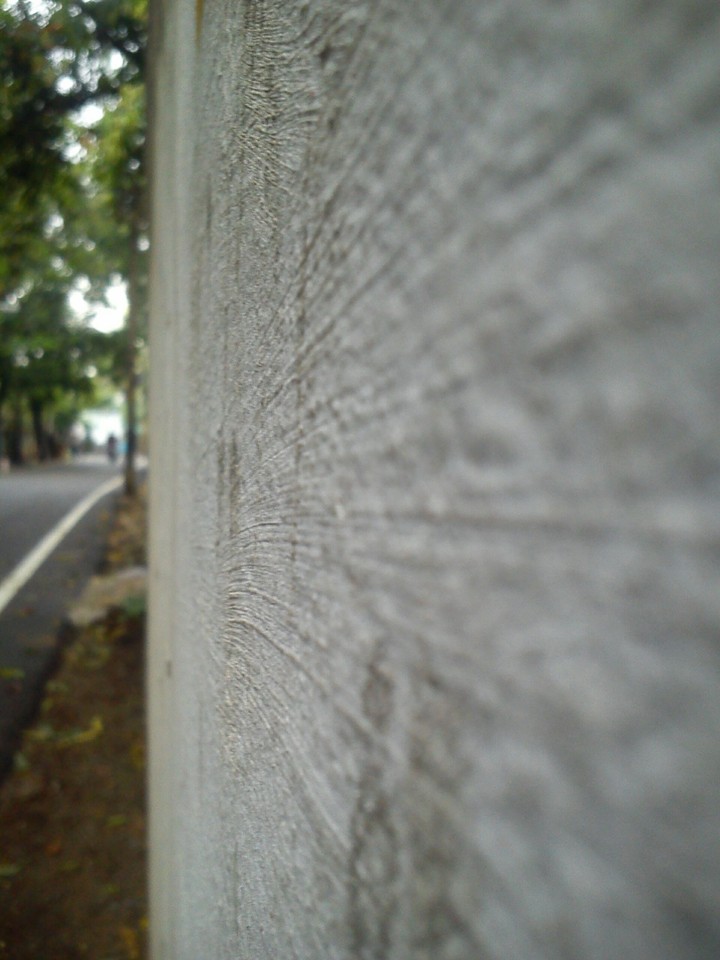 Wall