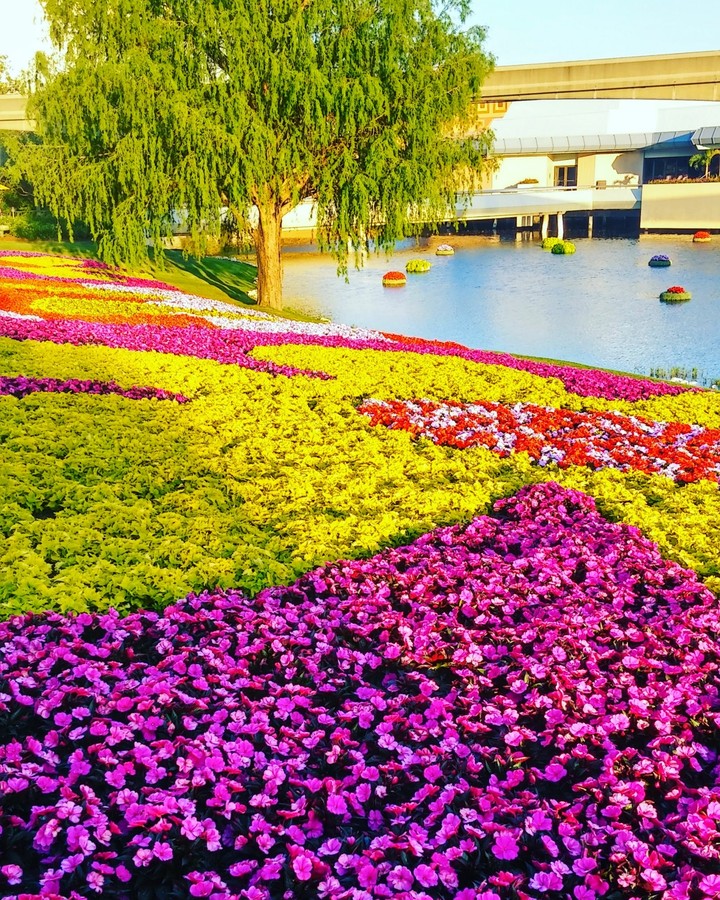 Flowers on Flowers
