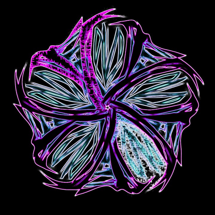 Fiber Optica