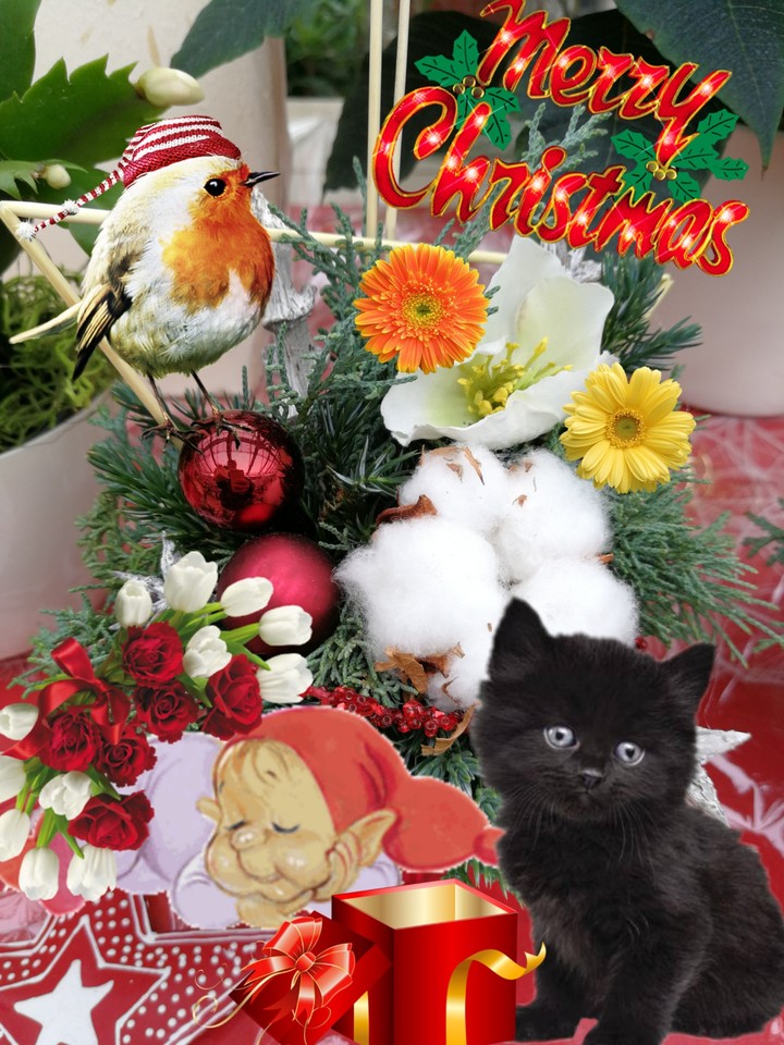 merry Christmas