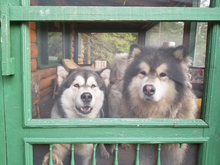 snow during summer