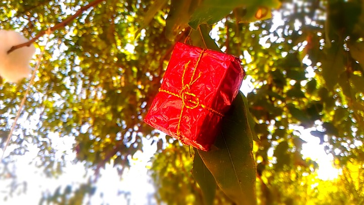 gift