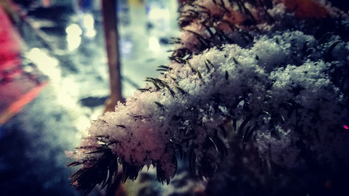 let it snow!!