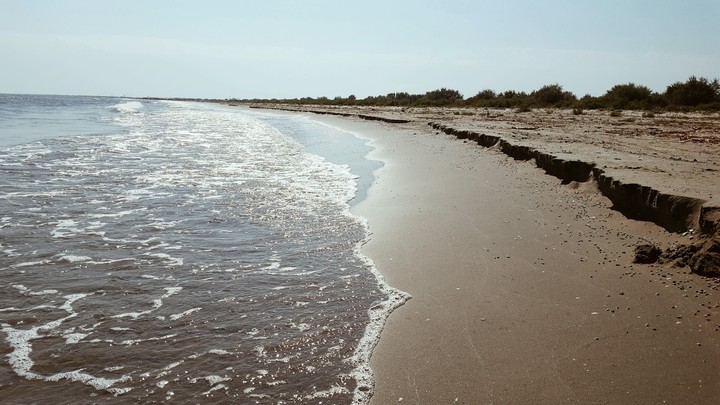 Danube Delta