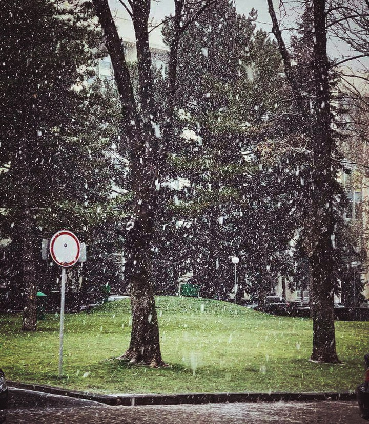 winter dream