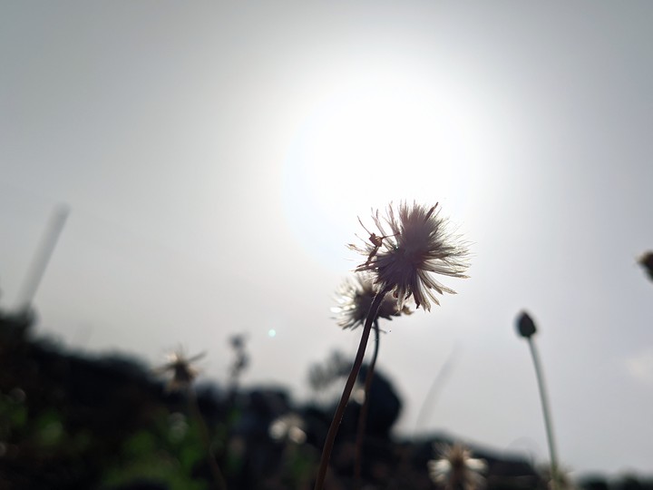 Nature