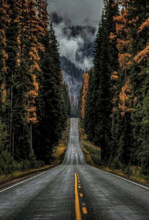 road
