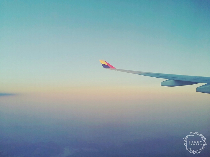 wing