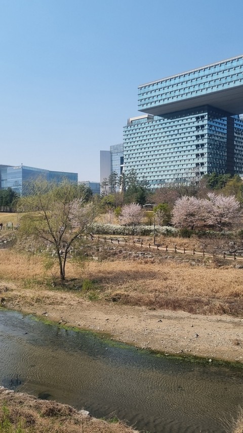 condominium, landscapes Hintergrundbilder