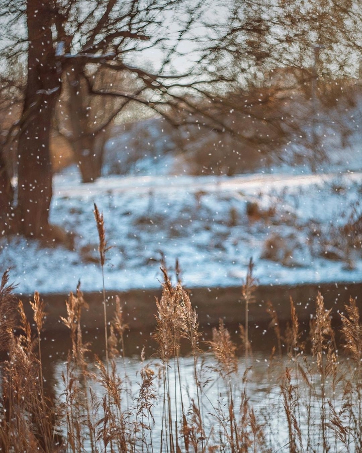 snowing