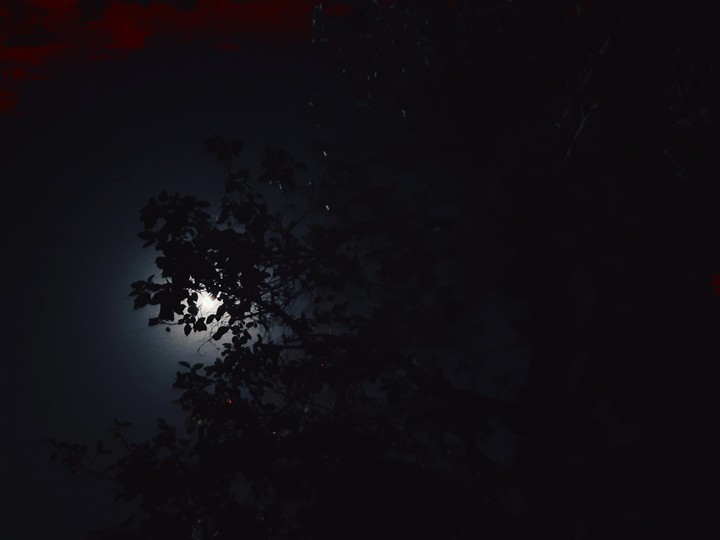 moon
