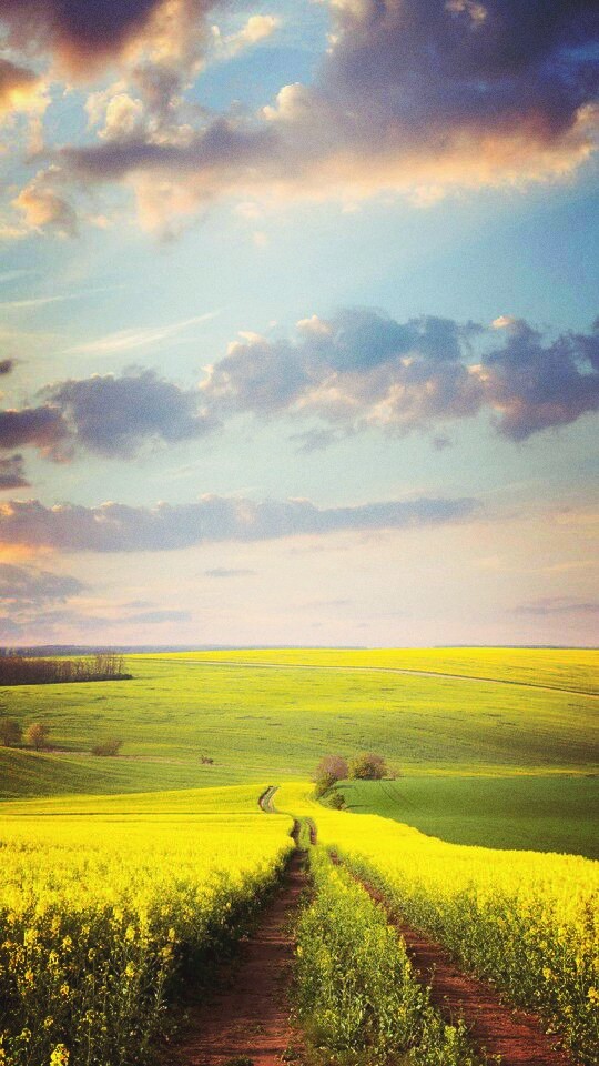lost in the ROAD