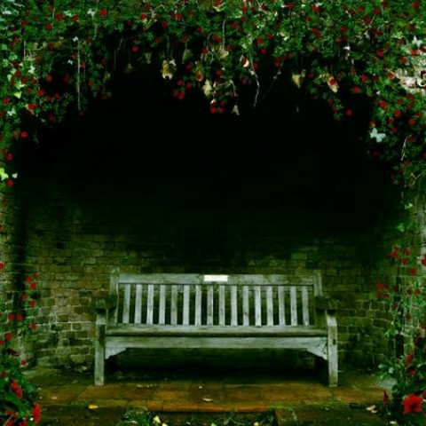 A lonely Bench...