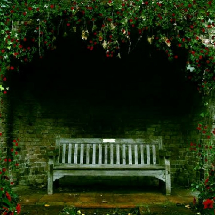 A lonely Bench...
