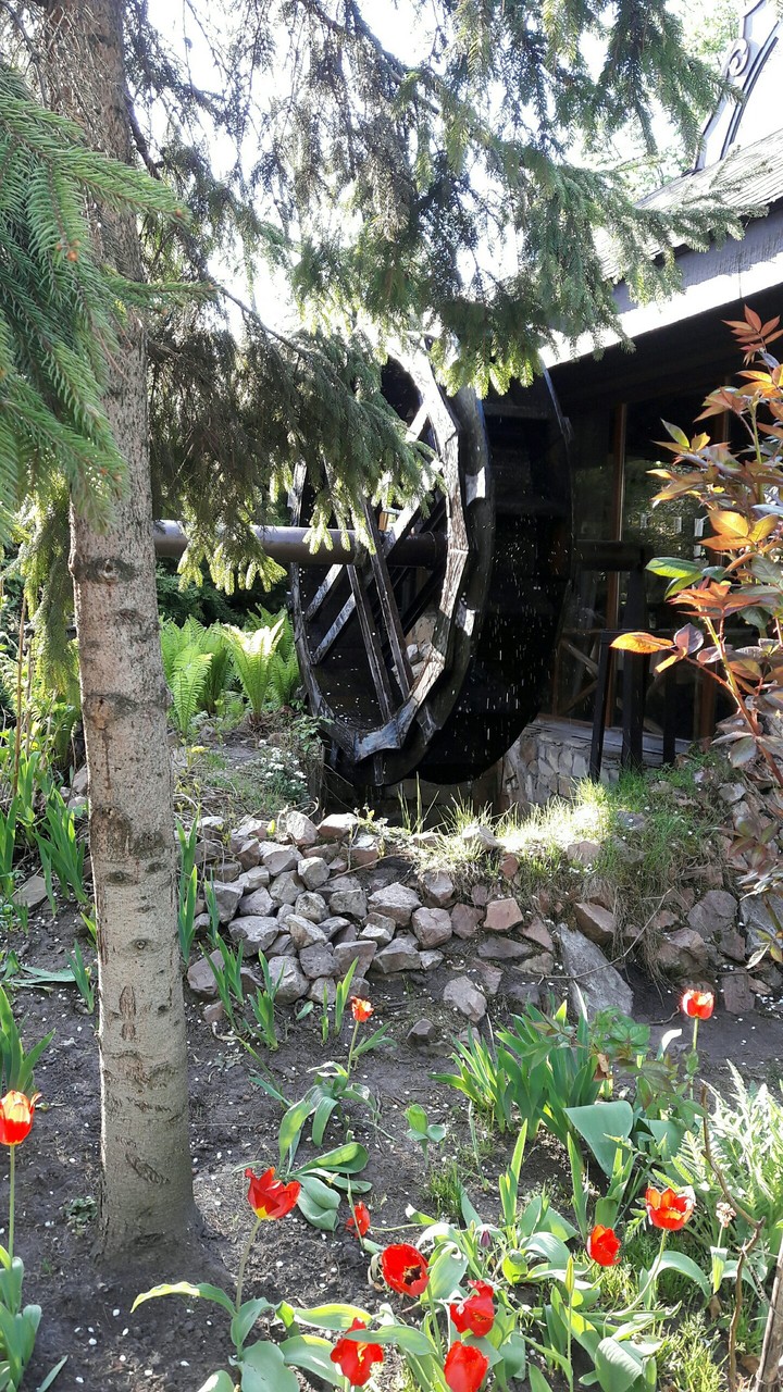 Пушкинский парк