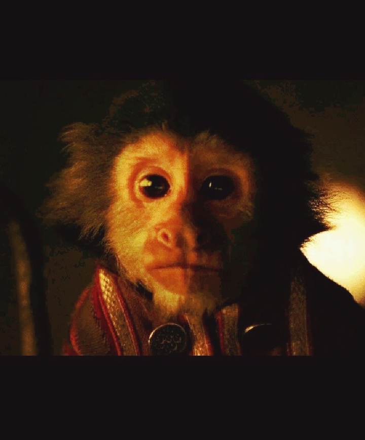 Monkey